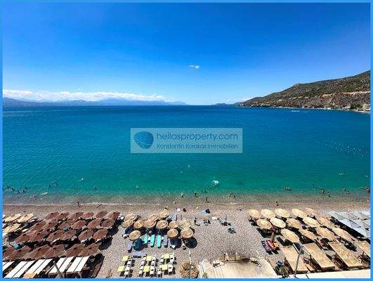 fc82208c83d54cdca67a66a286a4f813-original