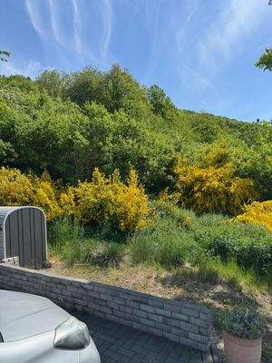 =?UTF-8?Q?Grundst=C3=BCcksansicht.jpg?=