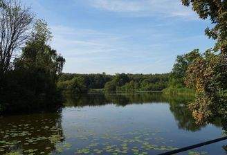 Drahtmühlen-Teich Grönwohld