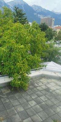 Terrassemit großartiger, unverbaubarer Aussicht.jp