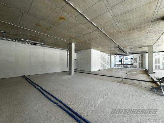 20240514_104419231_iOS