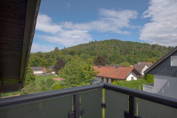 Ausblick Balkon DG