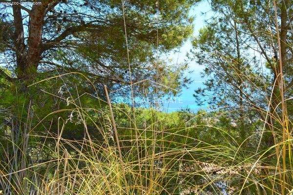 ... in natürlicher Umgebung