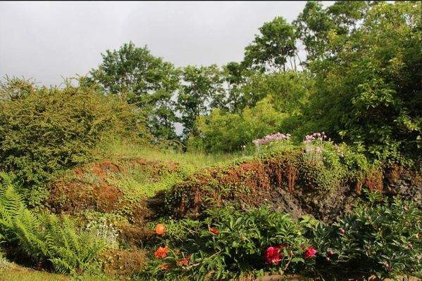 Garten im Frühsommer