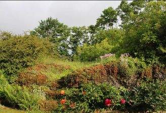 Garten im Frühsommer