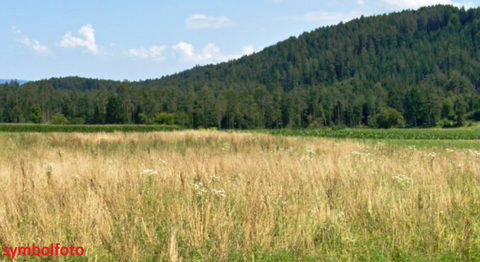Globasnitz Grundstücke, Globasnitz Grundstück kaufen