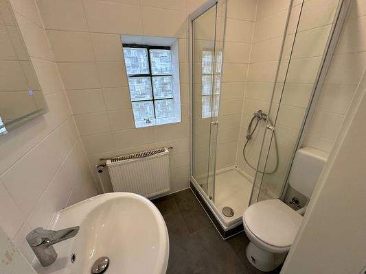 Erdgeschoss_Wohnung (1)