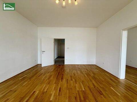 Wien Wohnungen, Wien Wohnung mieten