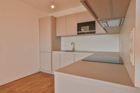 Krems an der Donau Wohnungen, Krems an der Donau Wohnung mieten