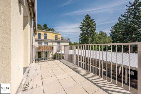 Neulengbach Wohnungen, Neulengbach Wohnung kaufen