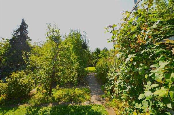 Garten 5