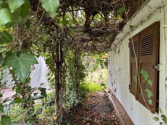 Bungalow Seitenansicht