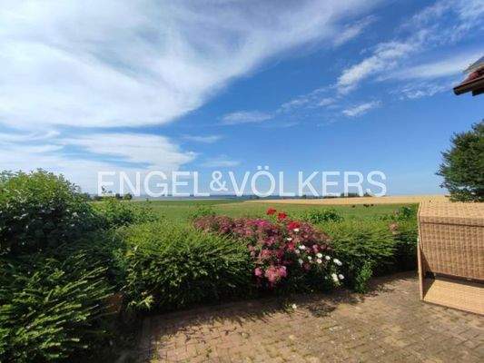 Blick über die Wiesen