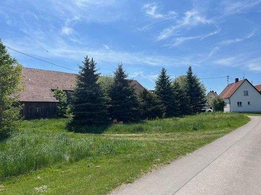 Zufahrt Bauplatz Norden.jpg