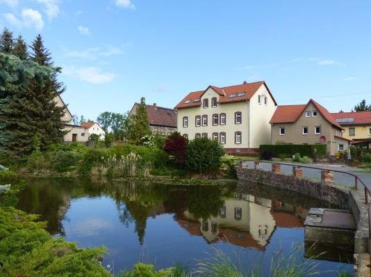 Dorfteich mit verdecktem Denkmal Nr. 17