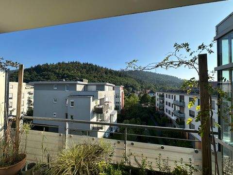 Freiburg im Breisgau Wohnungen, Freiburg im Breisgau Wohnung kaufen