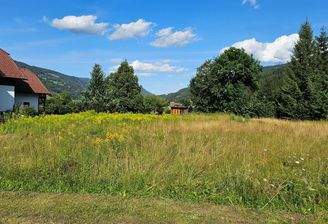 Planen - einreichen und los geht's!