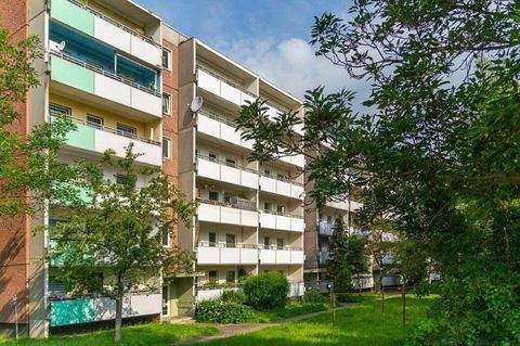 Dresden Wohnungen, Dresden Wohnung mieten