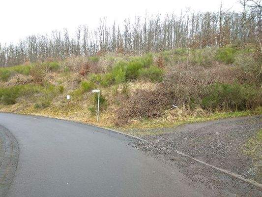 Rechte Straßenseite