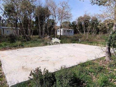 Vodnjan Bauernhöfe, Landwirtschaft, Vodnjan Forstwirtschaft