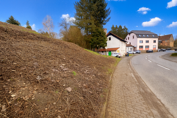 Straßenzugang 1 (links)