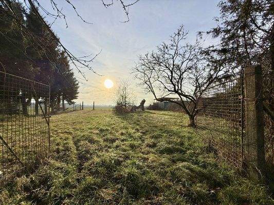 hintere Grundstücksansicht