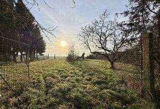 hintere Grundstücksansicht