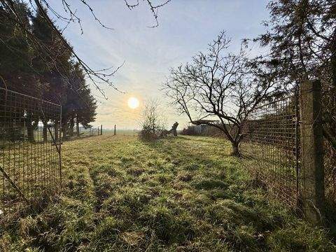 Gransee Häuser, Gransee Haus kaufen