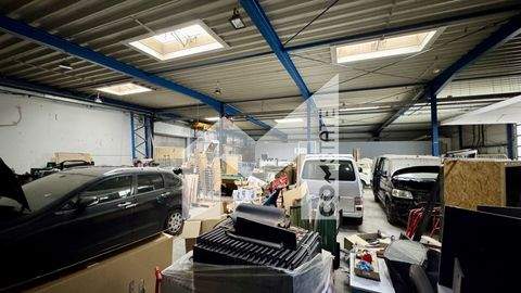 Köln Halle, Köln Hallenfläche