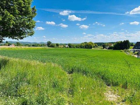 Hüllhorst Bauernhöfe, Landwirtschaft, Hüllhorst Forstwirtschaft