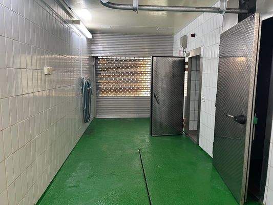 Gang, hinten Rolltor