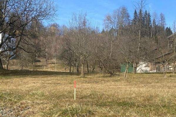 Bild für Onlinewerbung.jpg