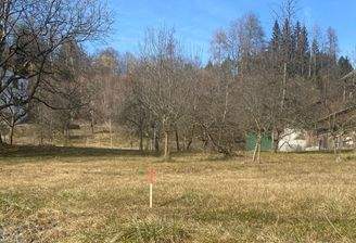 Bild für Onlinewerbung.jpg