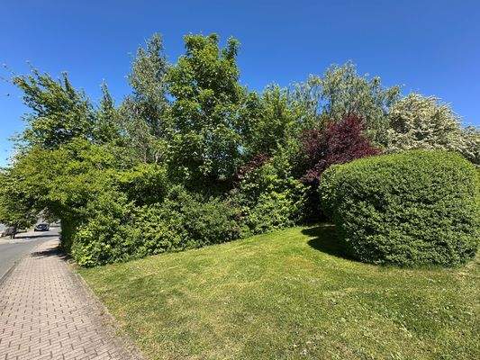 eingewachsenes Grundstück