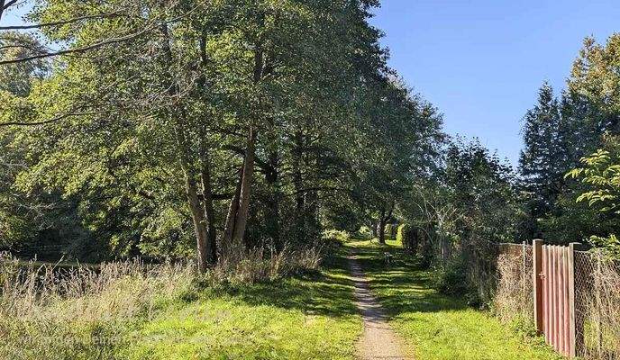 Gartentor auf Höhe des geplanten Steges.jpg