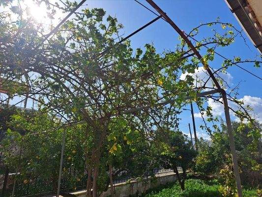 Kreta: Freistehendes Haus mit Meerblick in Plaka zu verkaufen