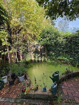 Der Garten mit BADE-TEICH