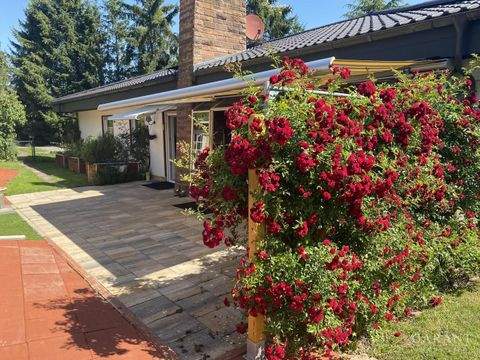 Wolfstein Häuser, Wolfstein Haus kaufen