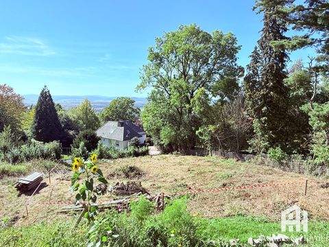 Niedenstein Grundstücke, Niedenstein Grundstück kaufen