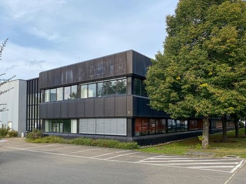 Reutlingen Halle, Reutlingen Hallenfläche