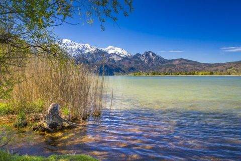 Kochel a. See Grundstücke, Kochel a. See Grundstück kaufen