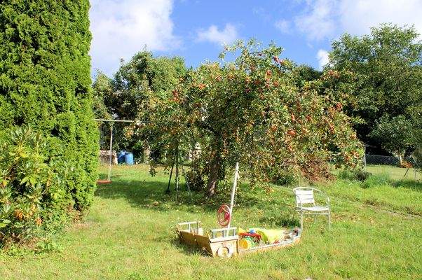 Schönes Grundstück mit Obstbäumen