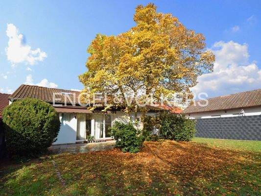 Blick auf das Haus und den Garten