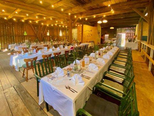 0ec5f144-cf9a-40fa-a23a-68599a751589 (002).jpeg