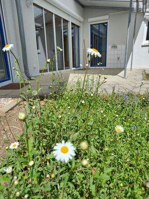 Geretsried Terrasse Ost