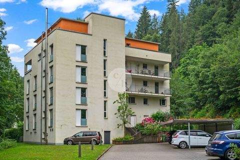 Freiburg im Breisgau / Günterstal Wohnungen, Freiburg im Breisgau / Günterstal Wohnung kaufen