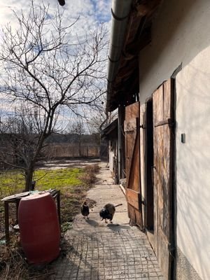 IMG_0103.jpeg