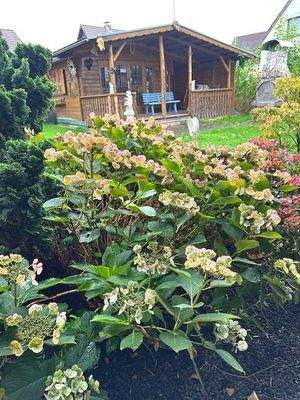 Gartenhaus/Garten Teilansicht