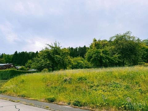 Albstadt Grundstücke, Albstadt Grundstück kaufen