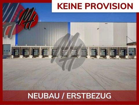 Öhringen Halle, Öhringen Hallenfläche